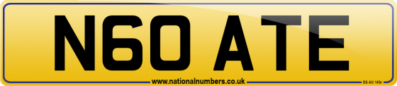 N60 ATE