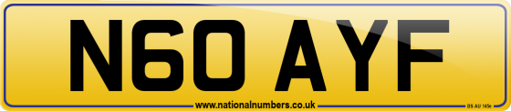 N60 AYF