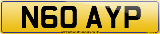 N60 AYP