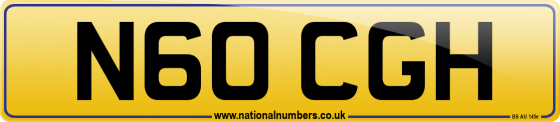 N60 CGH