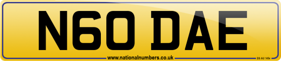 N60 DAE