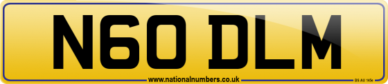 N60 DLM