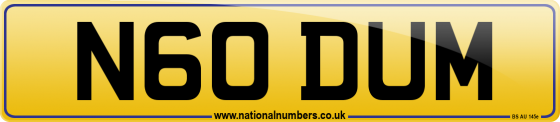 N60 DUM