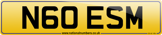 N60 ESM