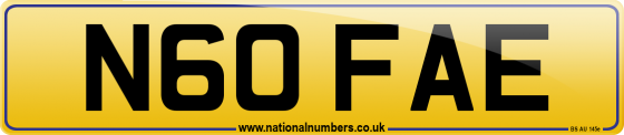 N60 FAE