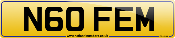 N60 FEM