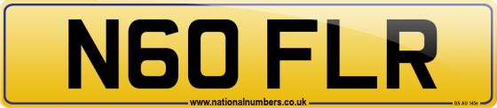 N60 FLR
