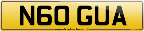 N60 GUA