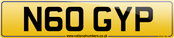 N60 GYP