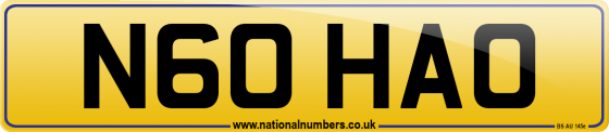 N60 HAO