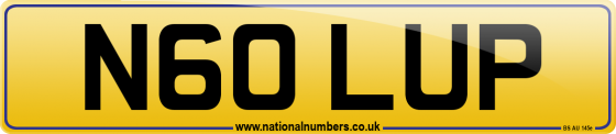 N60 LUP