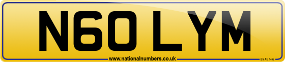 N60 LYM
