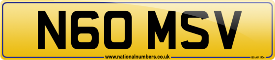 N60 MSV