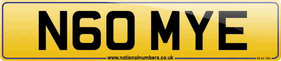 N60 MYE