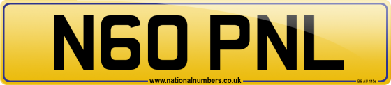 N60 PNL