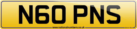 N60 PNS