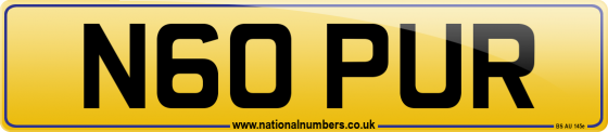 N60 PUR