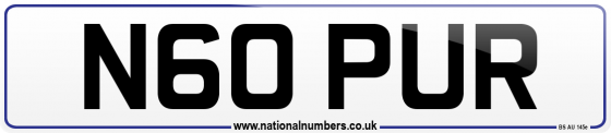 N60 PUR