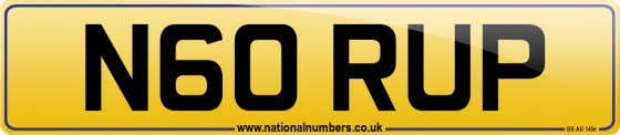 N60 RUP