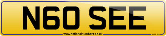 N60 SEE