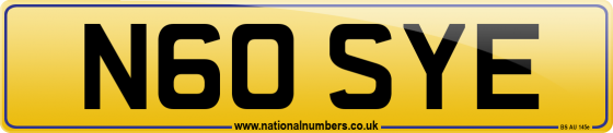 N60 SYE