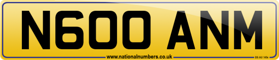 N600 ANM