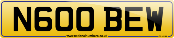 N600 BEW