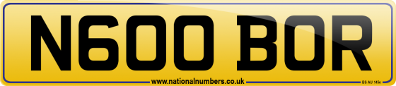 N600 BOR