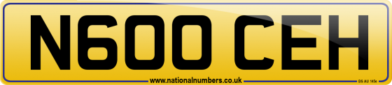 N600 CEH