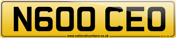 N600 CEO