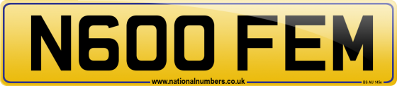 N600 FEM