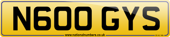 N600 GYS