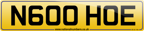 N600 HOE
