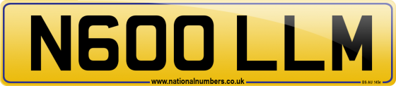N600 LLM