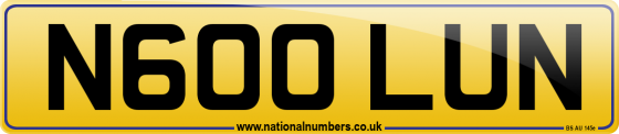 N600 LUN