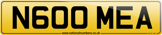 N600 MEA