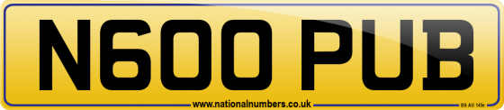 N600 PUB