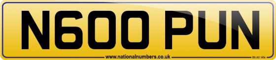 N600 PUN