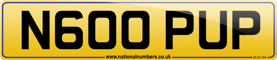 N600 PUP