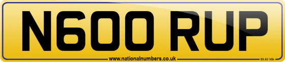 N600 RUP