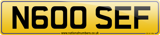 N600 SEF