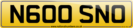 N600 SNO