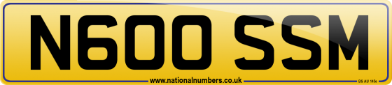 N600 SSM