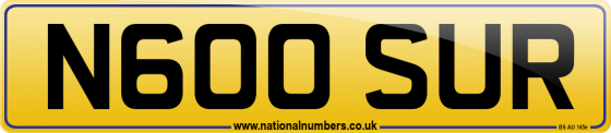 N600 SUR