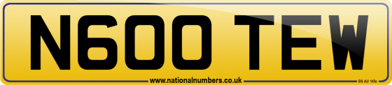 N600 TEW