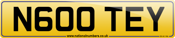 N600 TEY