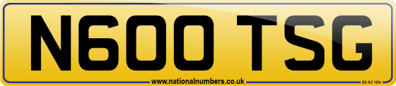 N600 TSG