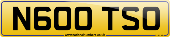 N600 TSO