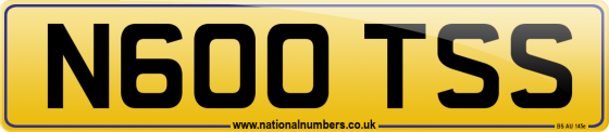 N600 TSS