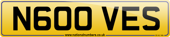 N600 VES